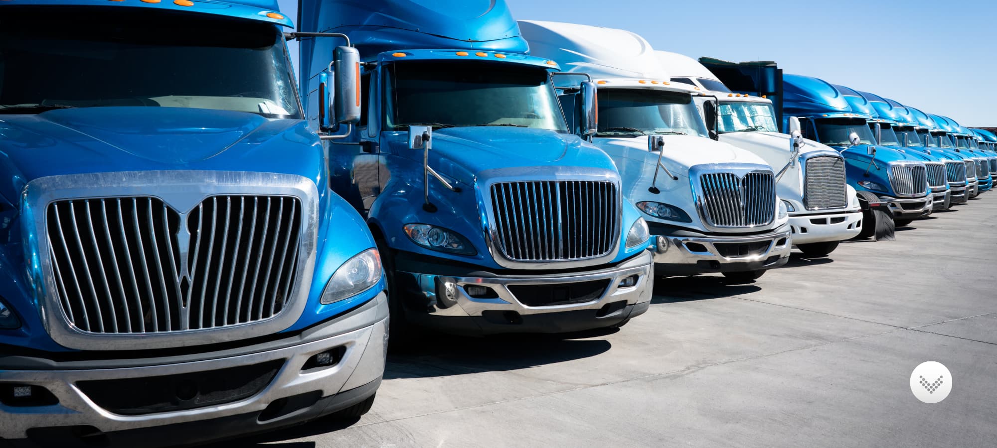 Fleet of blue and white semi trucks lined in a row.